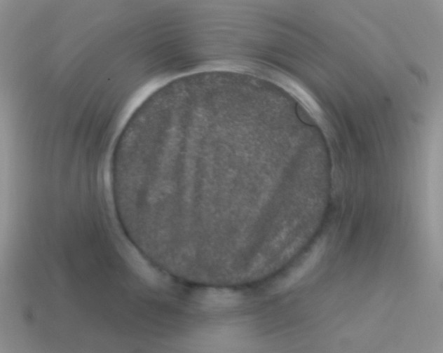 X0000113630907200910162013