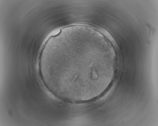 X0000113630908200910162013