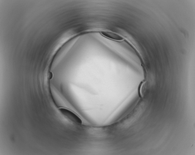 X0000113630909200910162013