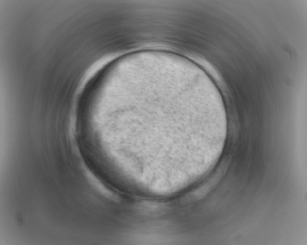 X0000113630910200910162013