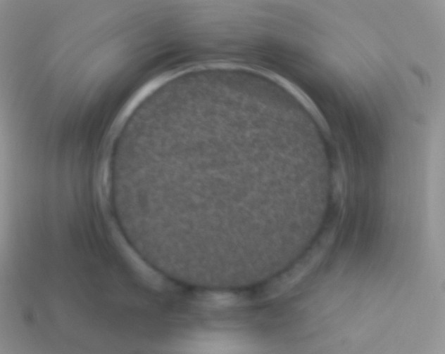 X0000113630911200910162013