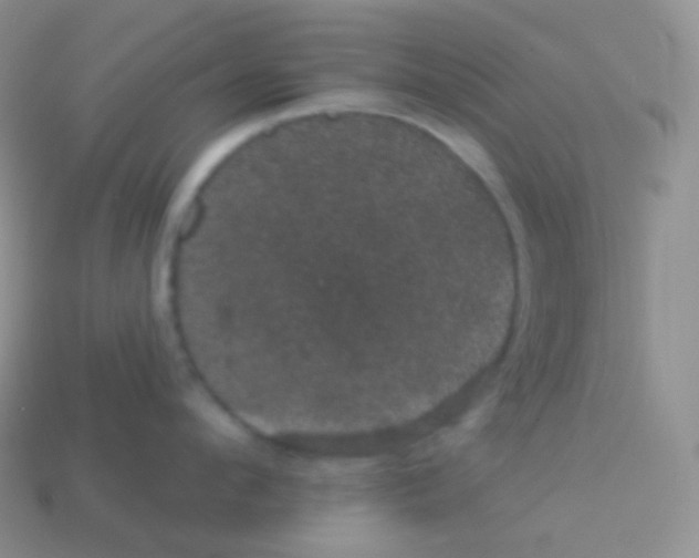 X0000113630912200910162013