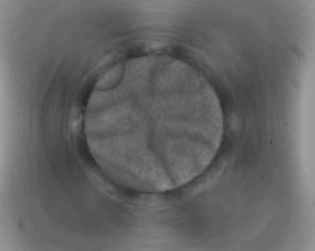 X0000113630914200910162012