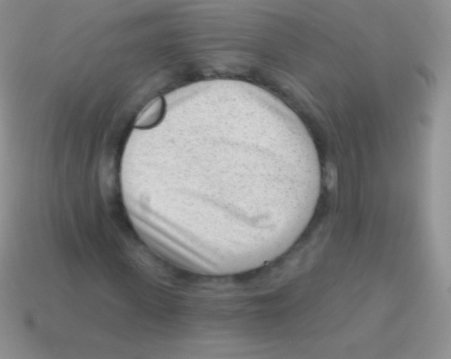 X0000113630915200910162012