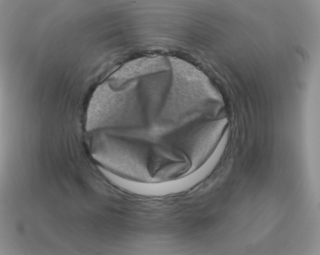 X0000113630916200910162012