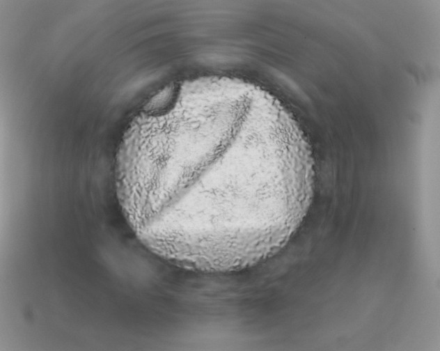 X0000113630917200910162012