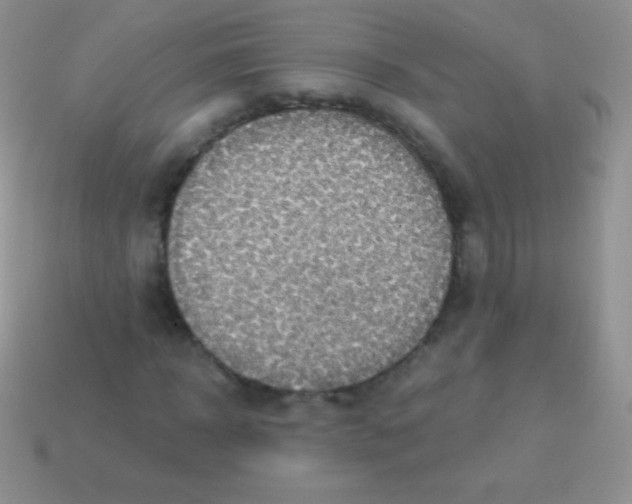 X0000113630918200910162012