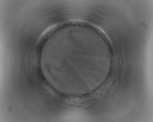 X0000113630919200910162012