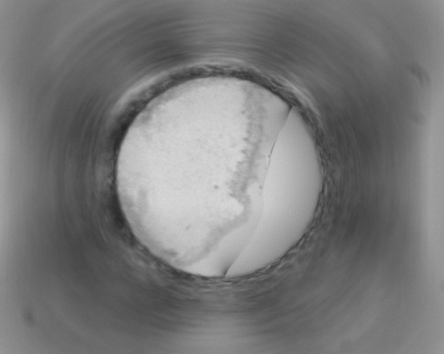 X0000113630920200910162012