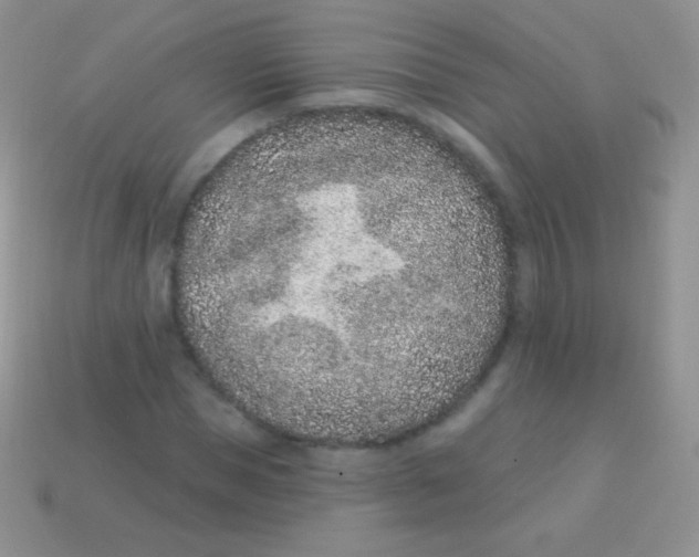 X0000113630921200910162012