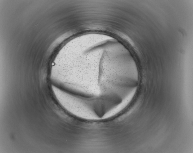 X0000113630922200910162012