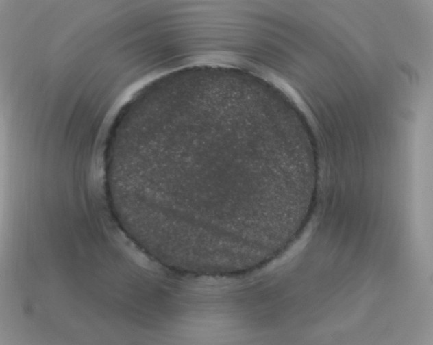 X0000113630923200910162012