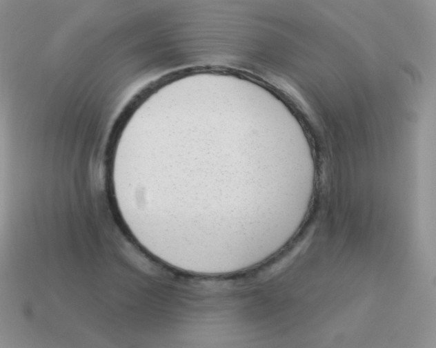 X0000113630924200910162012