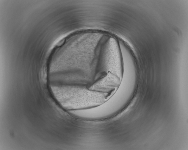 X0000113630925200910162012