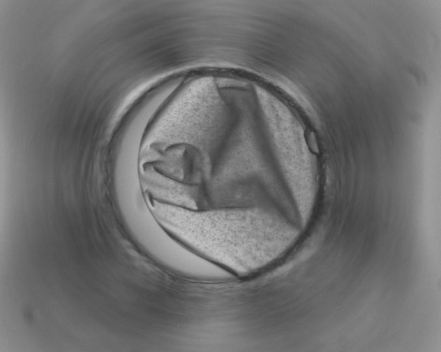 X0000113630926200910162012