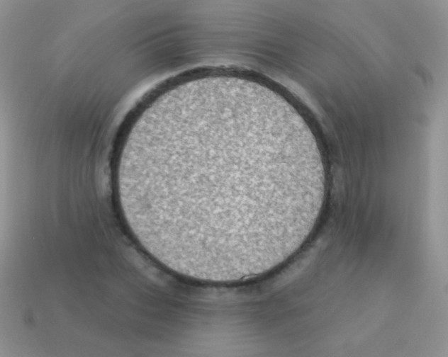 X0000113630927200910162012