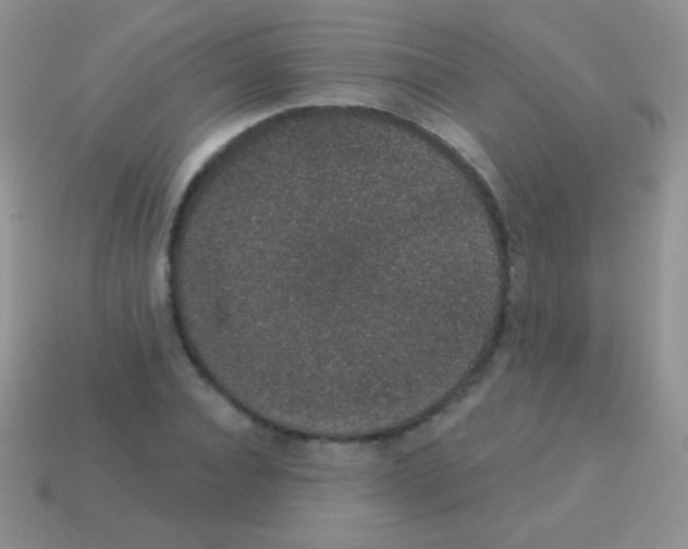 X0000113630928200910162012