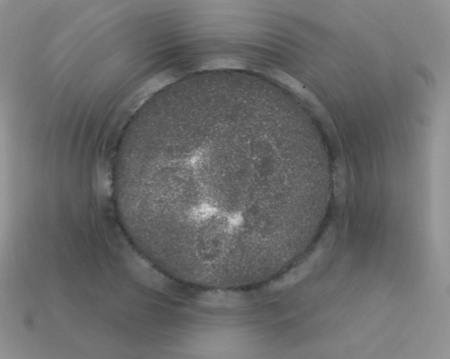 X0000113630929200910162012