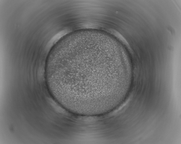 X0000113630930200910162012