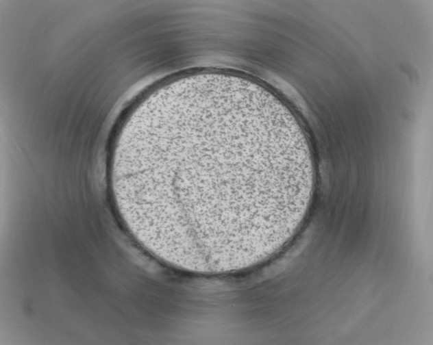 X0000113630931200910162012