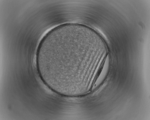 X0000113630932200910162012