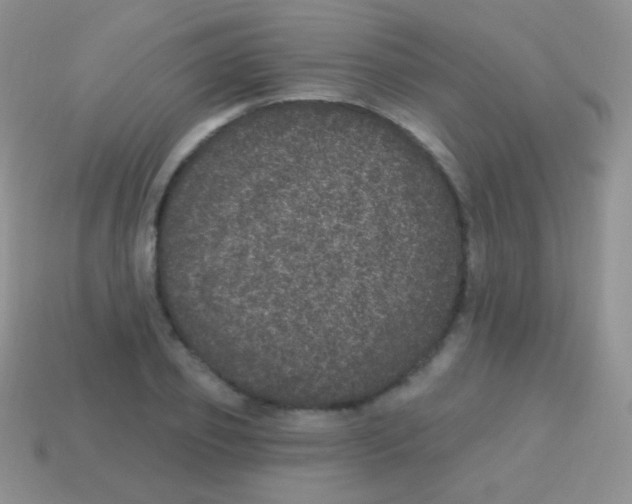 X0000113630933200910162012