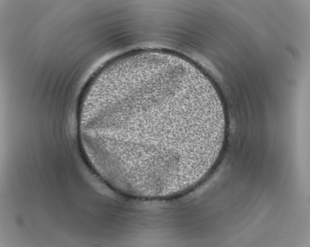 X0000113630934200910162012