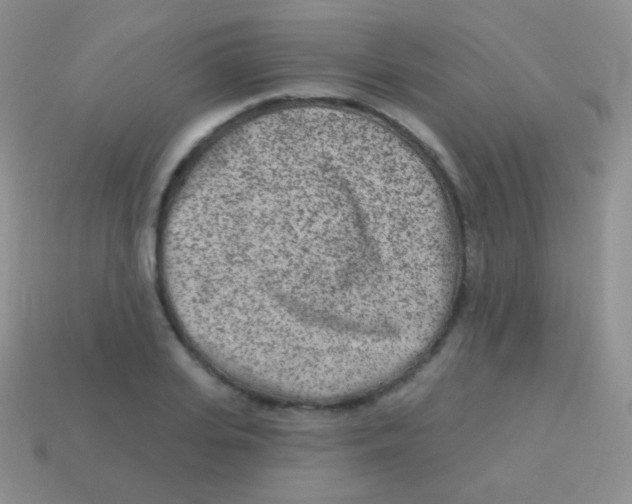 X0000113630935200910162012