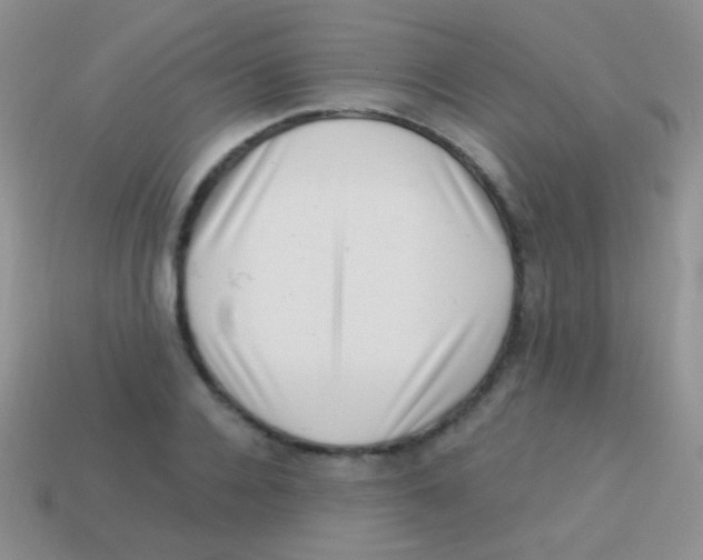 X0000113630936200910162012