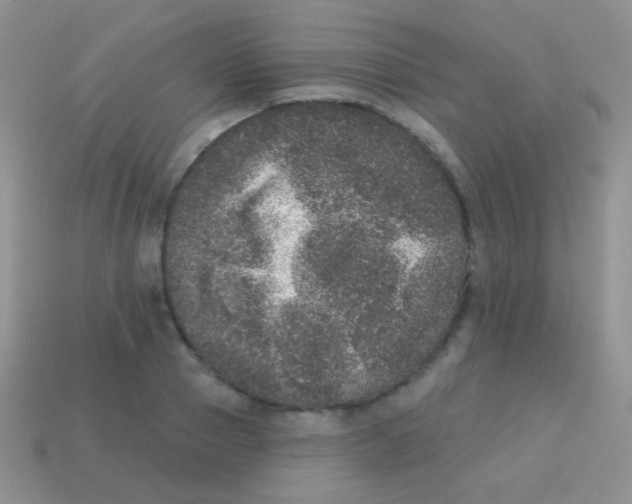 X0000113630937200910162012