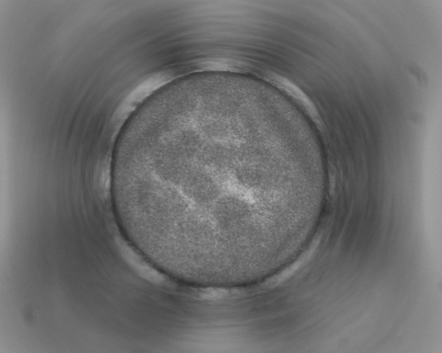 X0000113630938200910162012