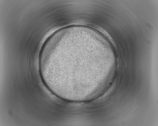 X0000113630939200910162012