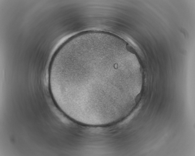 X0000113630940200910162012