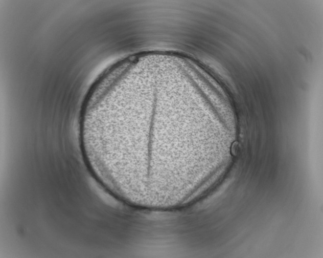 X0000113630942200910162012