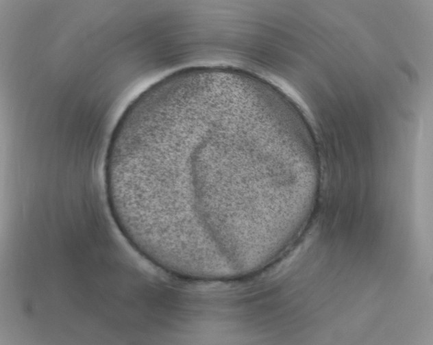 X0000113630943200910162012