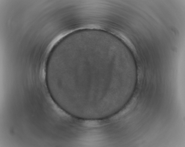 X0000113630944200910162012