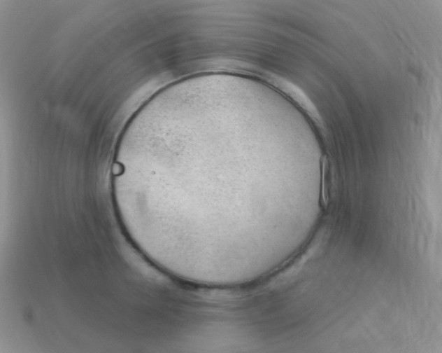 X0000113630946200910162013