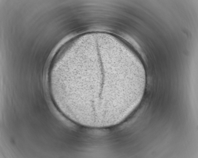 X0000113630947200910162013