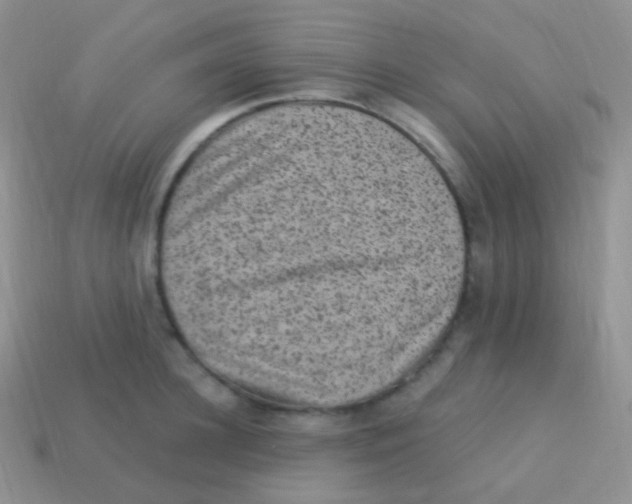 X0000113630948200910162013