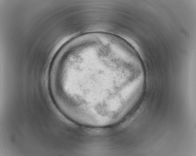 X0000113630949200910162013