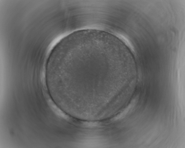 X0000113630952200910162013