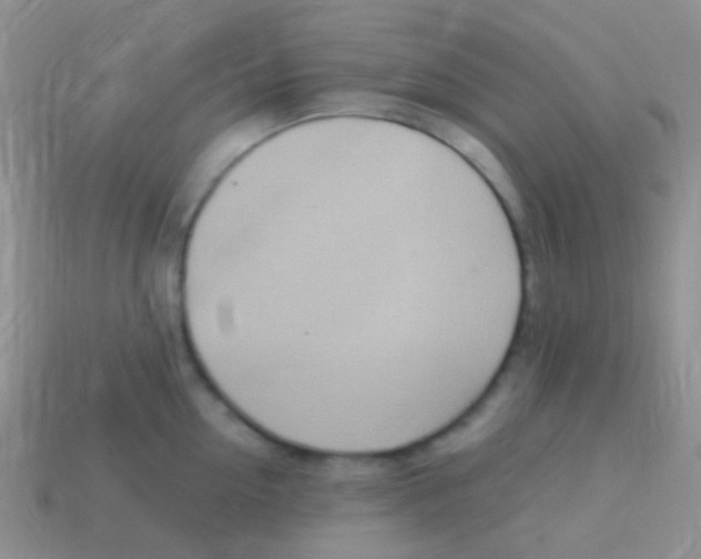 X0000113630954200910162013