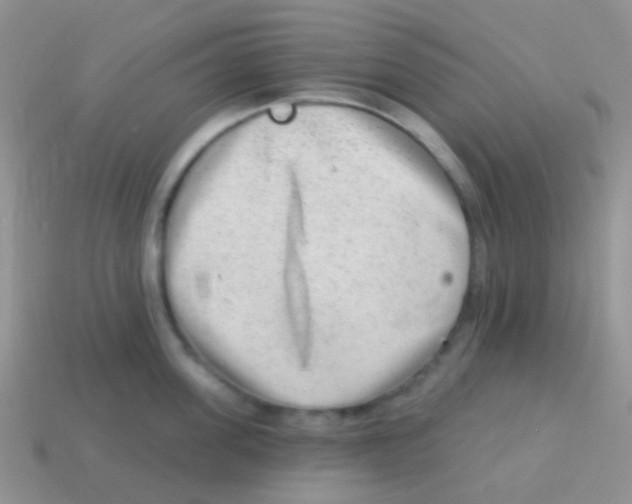 X0000113630955200910162013