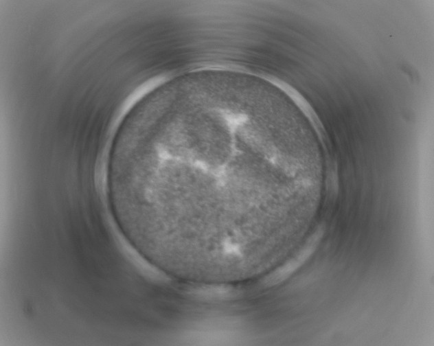 X0000113630957200910162013