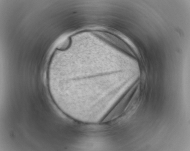 X0000113630959200910162013