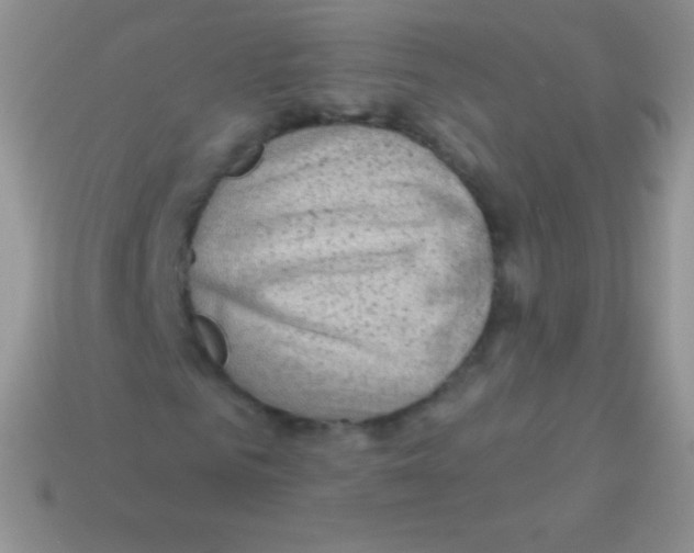 X0000113630961200910162012