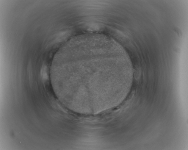 X0000113630962200910162012