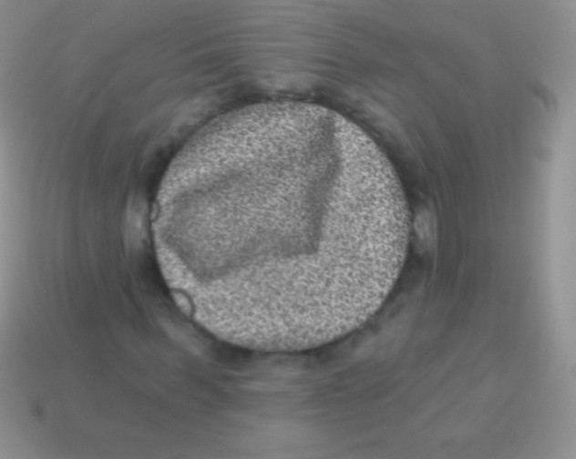 X0000113630963200910162012