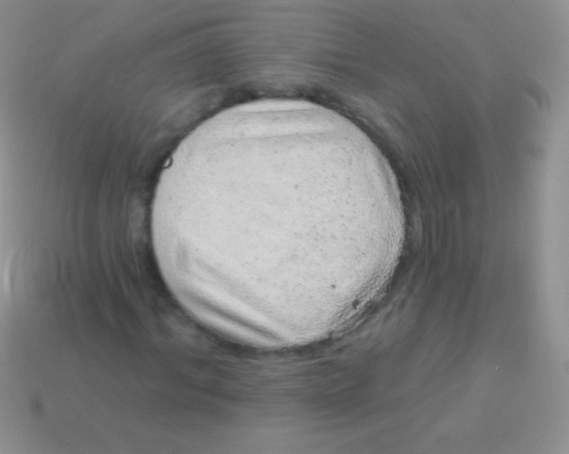 X0000113630964200910162012