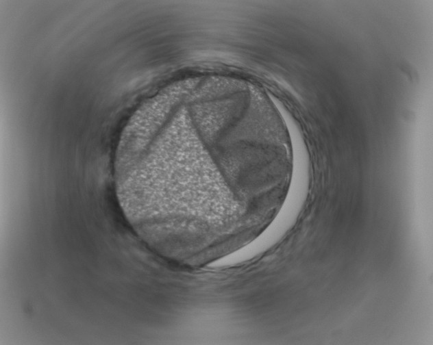 X0000113630965200910162012